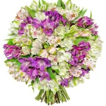 Альстромерии бело-сиреневый микс